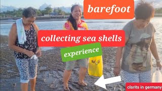 Barefoot in tanjay seashore philippines / how to find seashells? first time experience