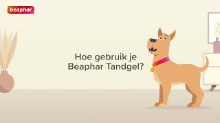 Hoe breng ik Beaphar Tandgel aan bij mijn hond?