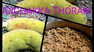 നാടൻ ഇടിച്ചക്ക തോരൻ // Idichakka thoran//Idichakka recipe malayalam//Tender jackfruit recipe