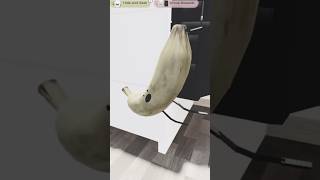 🍌Just a Banana Climbing up a Vaccum, Nothing to See Here. 🤭(Roblox-Staycation)