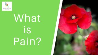 What is Pain?