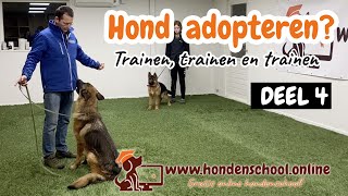 Hond adopteren deel 4 - trainen