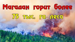 На 77 тысяч гектарах 92 природных пожара  в Магаданской области.