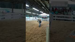 Cullman Fair Horse Show