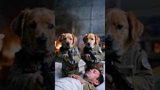 Two puppies 🐶 guards a sick soldier  #doglover #trending