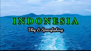 Spearfishing Indonesia| pulo nasi expore & Vlog