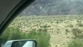 Drive through Nevada