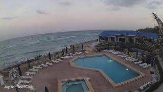 Jupiter ReefClub Live Stream