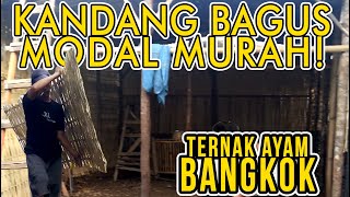 Kandang Ayam Kampung Modal Murah!