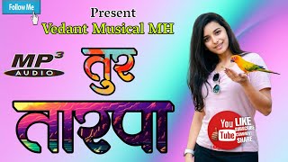 🪅 New Loop ...तुर थाली तारपा 💯🔥 l Vedant Musical Party MH l@vedantmusicalparty