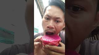 #shorts Makan buah naga #trending #tiktok