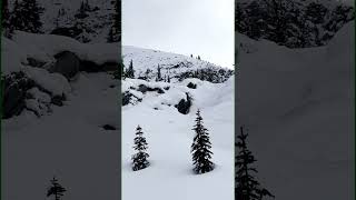 Skiing in Rogers Pass