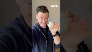 Happy World Egg Day: the cat was SHOCKED! #Magictrick #illusion #sleightofhand #shorts