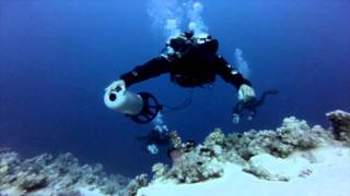 Sharm El Sheikh - Diving Dir Style