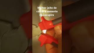 Como cortar a semente da sucupira fácil