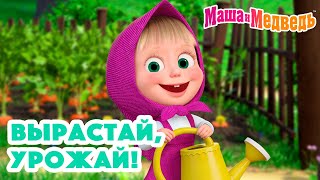 Маша и Медведь 🍓🍒 Вырастай, урожай! 🌼🌿🥕 Коллекция серий про Машу 2024 🎬 Час мультиков!