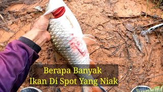 Sudah Berapa Bayak Ikan Di Spot Ini Yang Naik