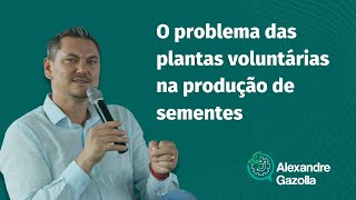 Alexandre Gazolla | O problema das plantas voluntárias na produção de sementes