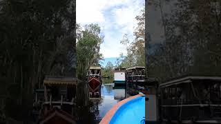 tanjung puting kelotok tour| indonesia orangutan tours