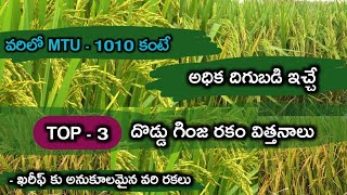 ఖరీఫ్ వరి లో MTU 1010 కన్నా అధిక దిగుబడి ఇచ్చే రకాలు కునారం సనల్లు KNM 118,JGL 24423