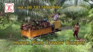 Plum Mewah Hunan Plum crawler dumper in oil palm farm 3