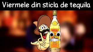 Care-i Treaba Cu Viermele Din Sticla De Tequila? - DLJ#1