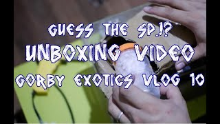 Guess the Species!? - Unboxing Video | Gorby Exotics Vlog 10