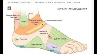 Медицина ( 7 активных точек на стопе вернут вас к жизни за пару минут!)