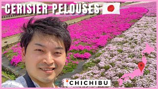 LA VILLE DES CERISIERS PELOUSES《SAITAMA BALADE TAKUMI 》