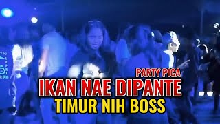 IKAN NAE DI PANTE | PARTY PICA MUSIK TIMUR NIH BOSS🏝️