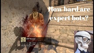 CSGO : How hard are expert bots?