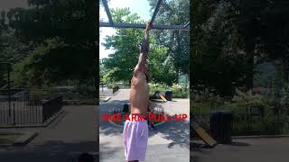 One Arm Pull-up #calisthenics #motivation #bodyweightexercise #fitness