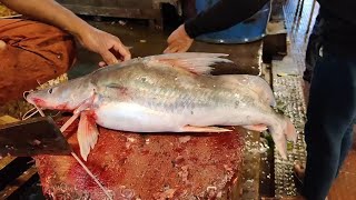 Amazing Whiskerd Long Ayer Fish Cutting Skills In BD Fish Market।