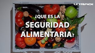 ¿Que es la seguridad Alimentaria? 🥕🥖