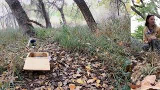 Arrow Shot Fox Squirrel Gets Released - October 2024