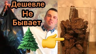 ЗАТАРИЛСЯ для ОРХИДЕЙ. КОРА. Какую беру? Колбы, Вазы, Горшки.