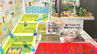 Toreba Claw Game Win #9 - Get [Sushi Time - Message Mascot - This is Love]!!