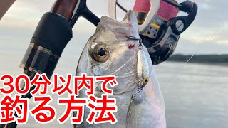 【ボツ動画】少ない時間で魚を釣る。