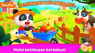 MENJADI PETANI MUDA HEBAT DI KOTA BAYI PANDA KECIL PETERNAKANKU - KARTUN ANAK | BABYBUS INDONESIA