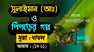 সুলাইমান ও পিঁপড়ের গল্প |সূরা: নামল, আয়াত:(১৭-২১) |বাংলা সাবটাইটেল সহ