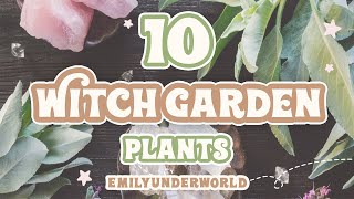 10 Magickal Herbs and Plants For Witch Gardens 🌿 Witchcraft For Beginners