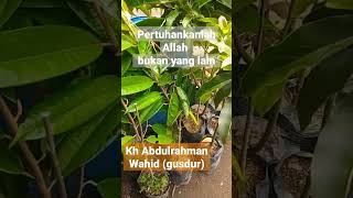 pertuhankanlah Allah bukan yang lain (Gus Dur)#gusdur #fypシ゚viral #nature