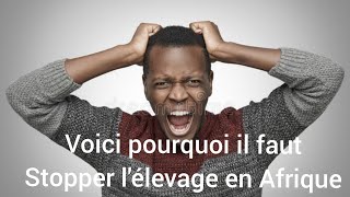 VOICI POURQUOI LES ÉLEVEURS DE POULETS DE CHAIRS EN AFRIQUE NE SERONT JAMAIS RICHE