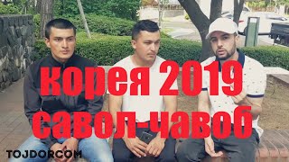 точико корея 2019 саволу чавоб