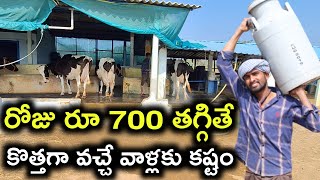 తగ్గితే రోజు రూ 700 నష్టం Parusharam dairy farm@MalleshAdla