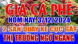 Giá cà phê hôm nay 3/12: 2 sàn quay xe cực gắt, thị trường ngỡ ngàng