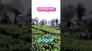 Gunung Mas, Bogor