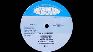 ReGGae Music 817 - The Black Eagles - Back For More [Wild Flower]