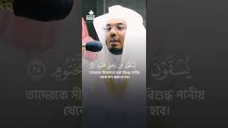 সুরা মুতাফফিফীন #emotional_recitation #sheikhyasseraldosari #shorts #inshot #reels #ytshorts #quran