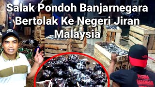 Salak Pondoh Banjarnegara Bertolak ke Negeri Jiran Malaysia